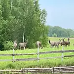 żurawi Klangor - Dom Z Sauną I Jacuzzi Ramsowo