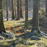 Dom wakacyjny żurawi Klangor - Dom Z Sauną I Jacuzzi