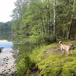 żurawi Klangor - Dom Z Sauną I Jacuzzi Dom wakacyjny *