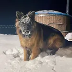 Dom wakacyjny żurawi Klangor - Dom Z Sauną I Jacuzzi