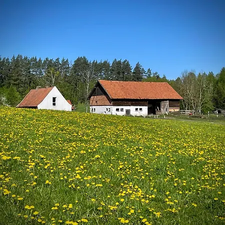Zurawi Klangor - Dom Z Sauna I Jacuzzi