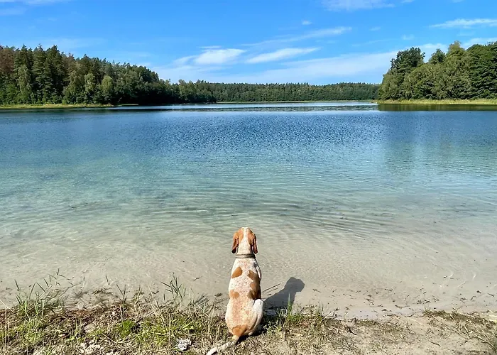Zurawi Klangor - Dom Z Sauna I Jacuzzi Дом отдыха Ramsowo