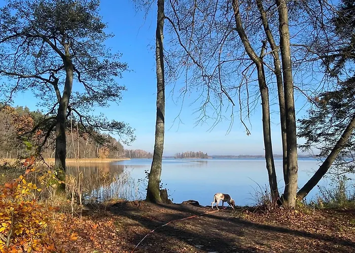 Zurawi Klangor - Dom Z Sauna I Jacuzzi *