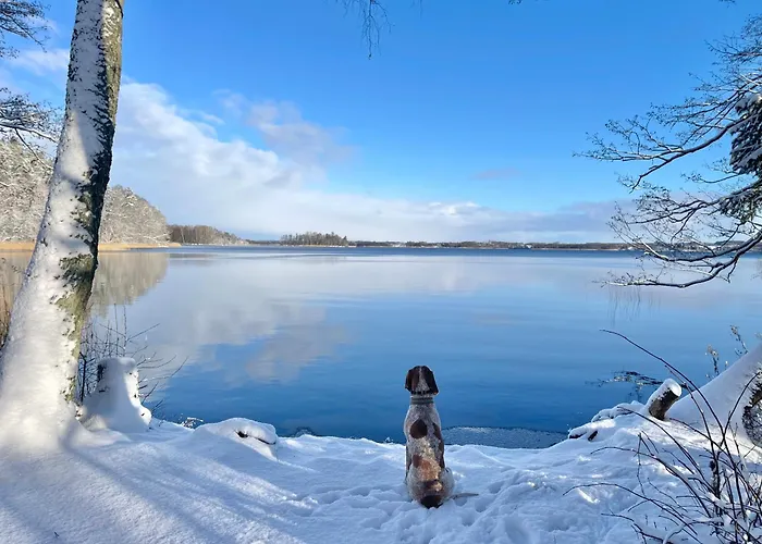 Zurawi Klangor - Dom Z Sauna I Jacuzzi *