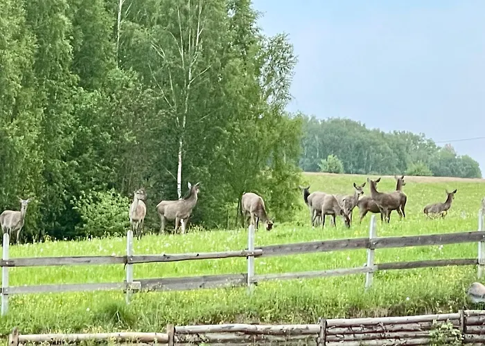 Zurawi Klangor - Dom Z Sauna I Jacuzzi Ramsowo