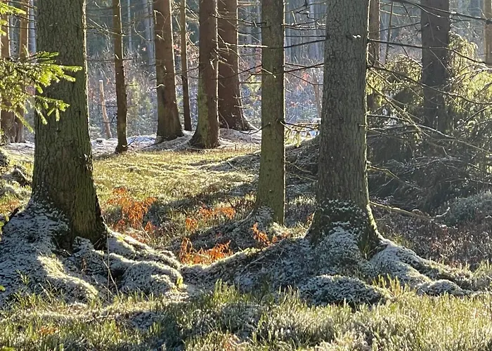 Дом отдыха Zurawi Klangor - Dom Z Sauna I Jacuzzi