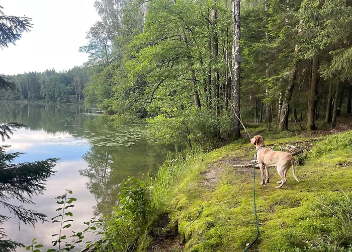 Zurawi Klangor - Dom Z Sauna I Jacuzzi Дом отдыха *