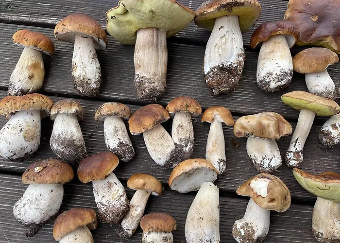 Дом отдыха Zurawi Klangor - Dom Z Sauna I Jacuzzi Ramsowo