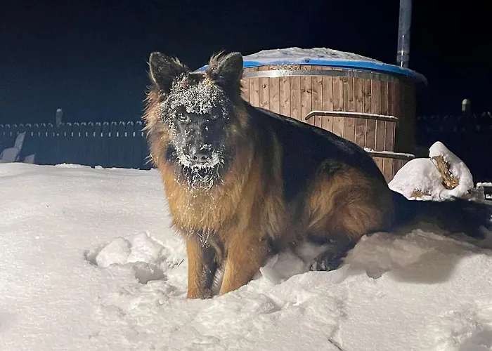 Дом отдыха Zurawi Klangor - Dom Z Sauna I Jacuzzi